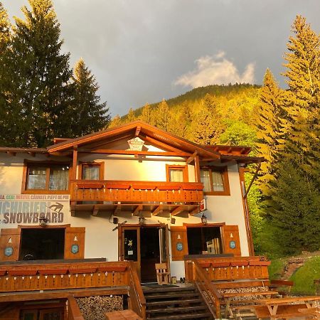 Cabana Bradul Skiland Poiana Brasov Exterior foto