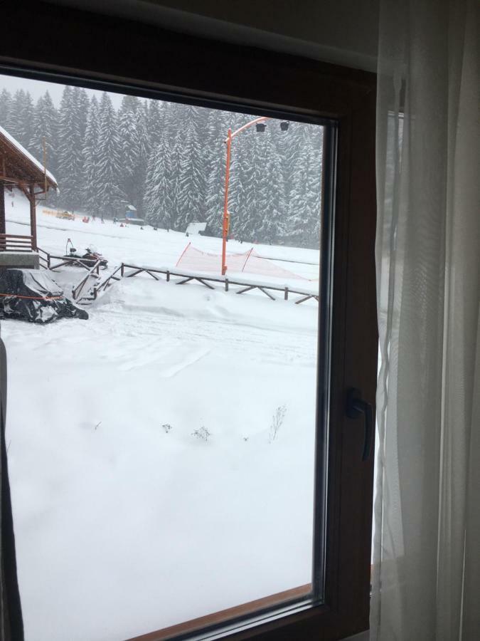 Cabana Bradul Skiland Poiana Brasov Exterior foto